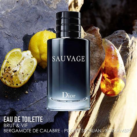 douglas dior cologne|sauvage dior sephora.